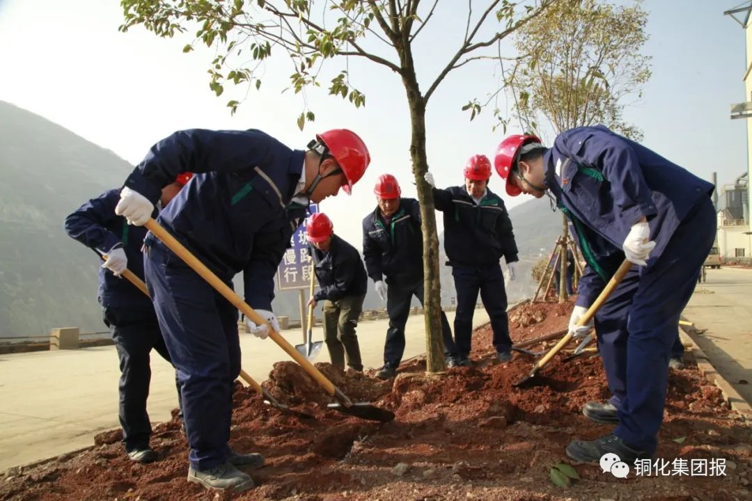 首页- 南宫NG28国际集团官方网站