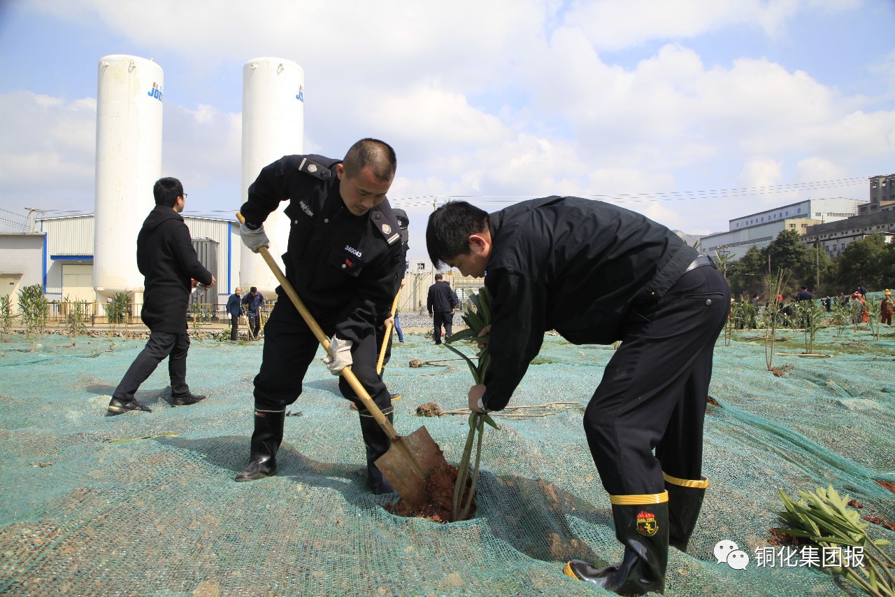 首页- 南宫NG28国际集团官方网站