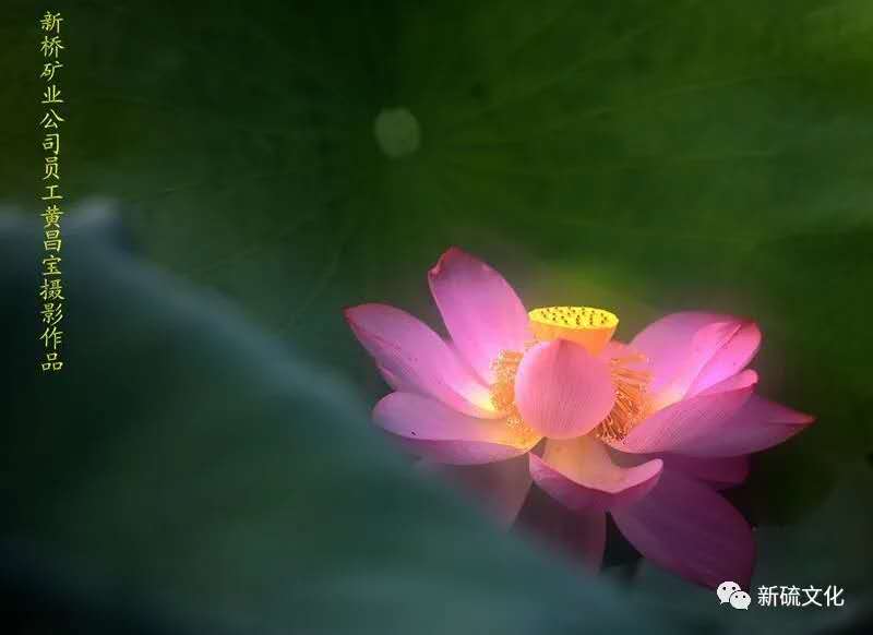 首页- 南宫NG28国际集团官方网站