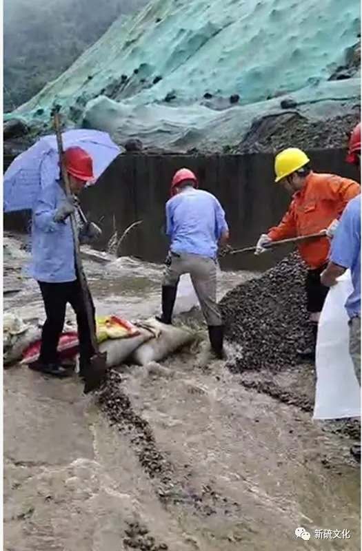 首页- 南宫NG28国际集团官方网站