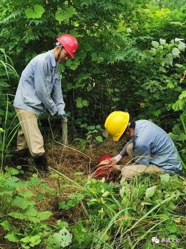 首页- 南宫NG28国际集团官方网站