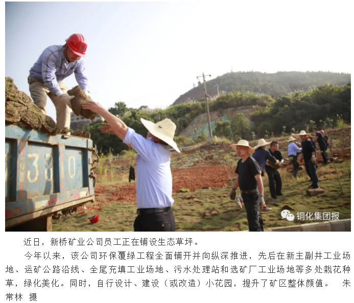 首页- 南宫NG28国际集团官方网站