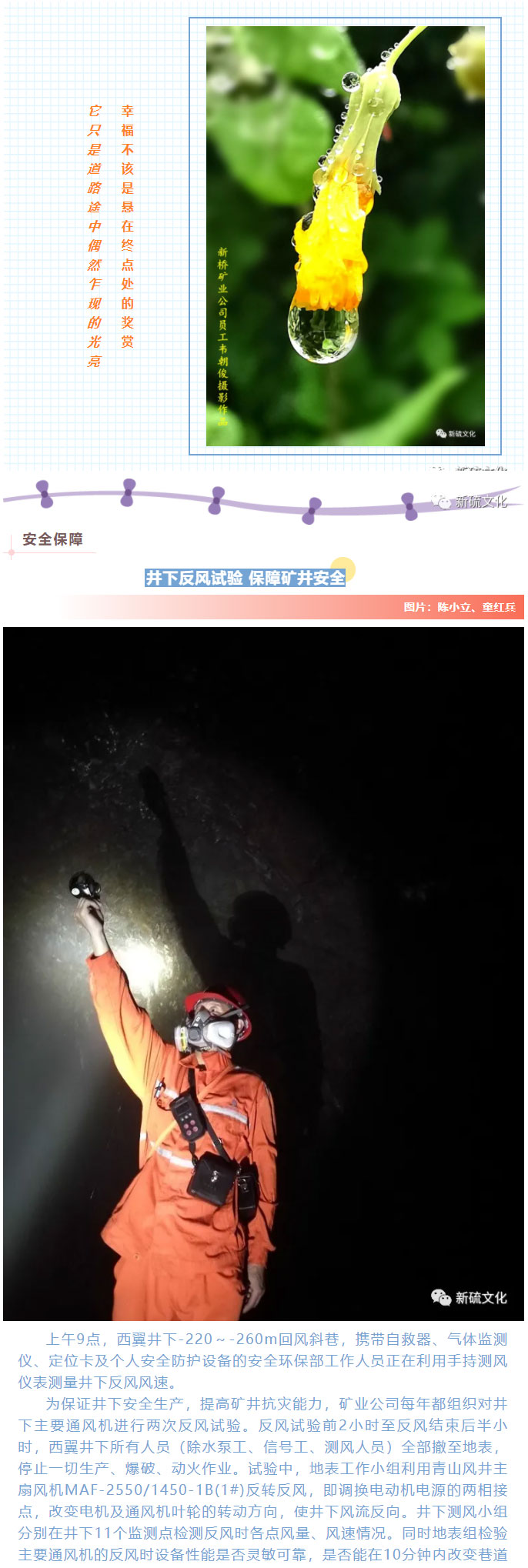 首页- 南宫NG28国际集团官方网站